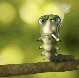 Yorum fotoğrafı