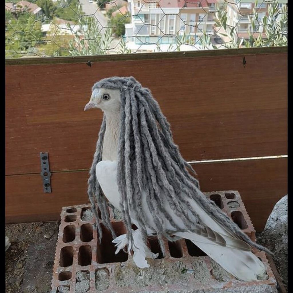 Gönderi fotoğrafı